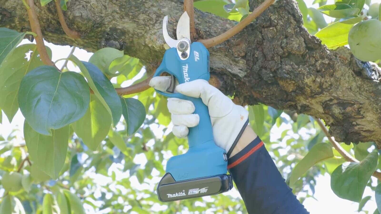 マキタ UP181DZ 充電式せん定ハサミ